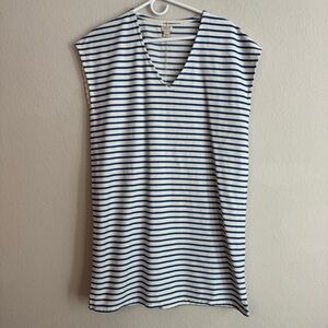 J. Crew Blue White Striped V-Neck Dress Medium